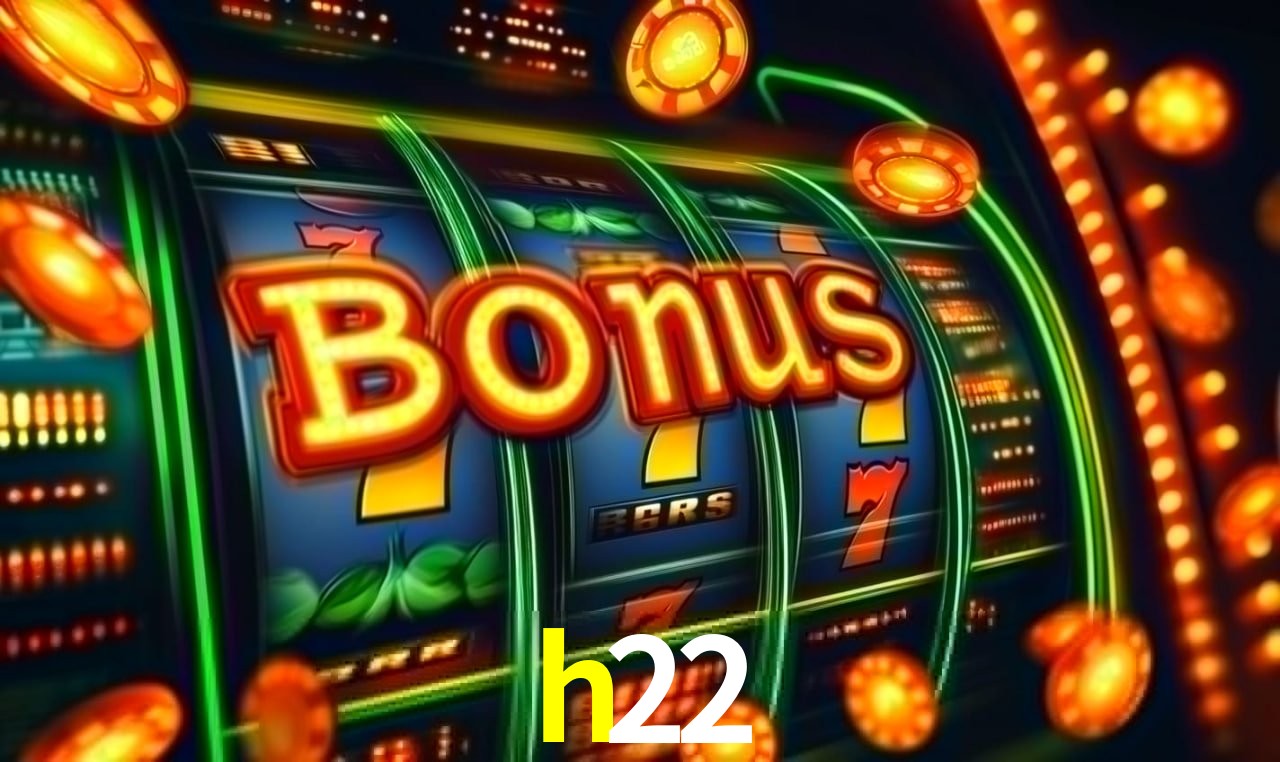Programa VIP h22